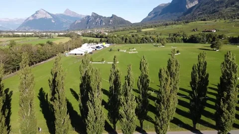 Side tracking drone flight along tree avenue beside arena Stock Footage 331881098