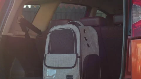 Side tracking shot of a gray pet carrier backpack placed in the open trunk of a Stock Footage 323299610