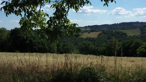 Side tracking on a Tractor doing round ballers Video stock 144541113