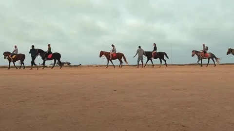 Side tracking view of horse caravan with tourists in djerba desert Stock Footage 280877312