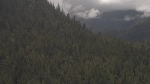 Side of Tree Covered Mountain revealing lake beside Alaska drone Stock Footage 255317997