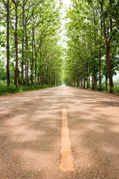 Side of the tree line Foto stock