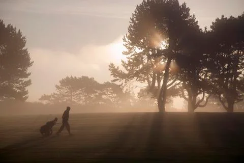 Side vie of man walking past trees across golf course at twilight, pulling golf Stock Photos