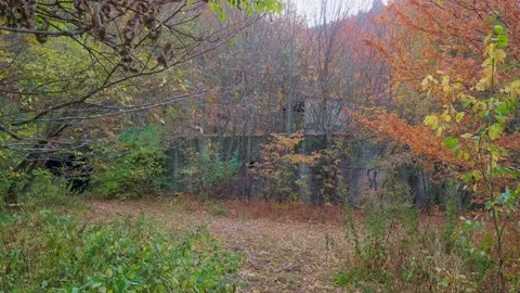 Side view of abandoned and closed and ruined entrance into tunnel of mine where Stock Footage 146549058