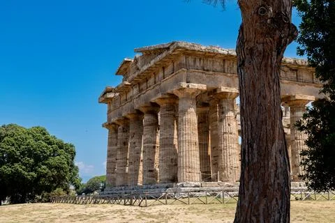 Side view of ancient Doric temple columns in Paestum Foto stock