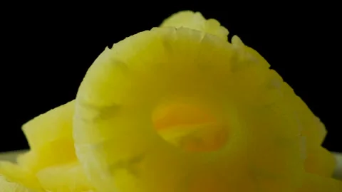 Side view and close-up of fresh, delicious and juicy pineapple rings rotating on Video stock 149776515