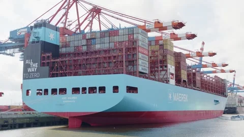 Side view of the Ane Maersk container ship loaded with containers, Hamburg Vídeo Stock 270487030