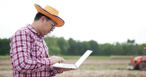 Side view of asian farmer standing in the field using laptop  Stock-Footage 200929798