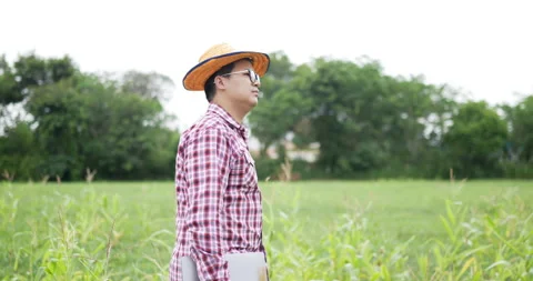 Side view of asian farmer walking in the field holding laptop.  스톡 동영상 200927771