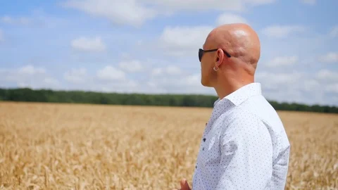 Side view of bald man going in the golden wheat field. Medium shot. 스톡 동영상 113866192