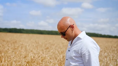 Side view of bald man going in the golden wheat field. Medium shot. 스톡 동영상 113866759