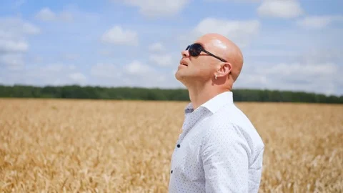 Side view of bald man going and singing in the golden wheat field. Medium shot. Stock Footage 113868164