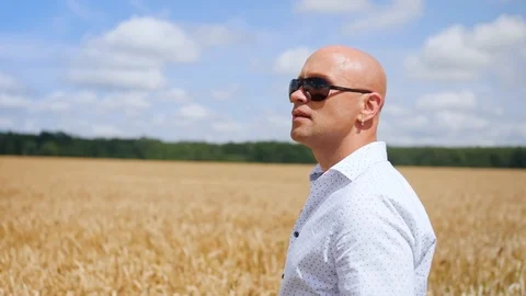 Side view of bald man going and singing in the golden wheat field. Medium shot. 스톡 동영상 113870799