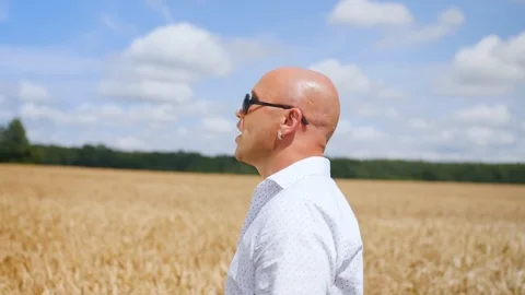 Side view of bald man going and singing in the golden wheat field. Medium shot. 스톡 동영상 113872594