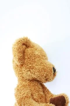 Side view bear Foto stock