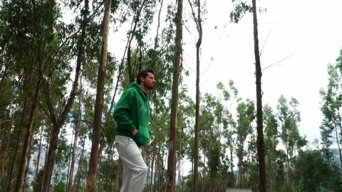 Side view from below of a white man walking uphill through a pine forest on Stock Footage 164562719