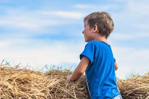 Side view blond boy looking far away distance blue sky background, sit on hay Stock Photos