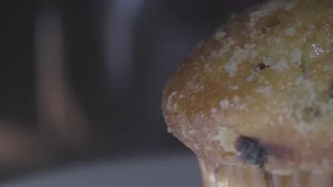 A side view of a blueberry muffin Stock Footage 172326132