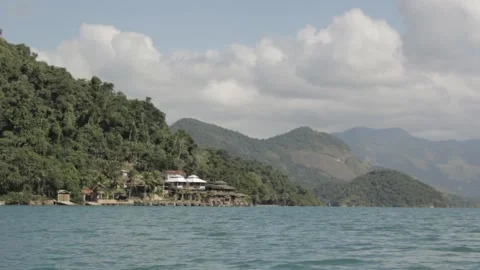 Side view from a boat looking into Brazil forest  Stock-Footage 155612696