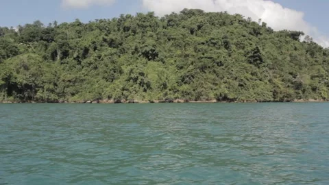 Side view from a boat looking into Brazil forest  Stock Footage 155613075