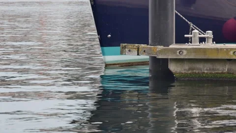 Side view of the bow of a moored ship in the port Vídeos de archivo 273013290