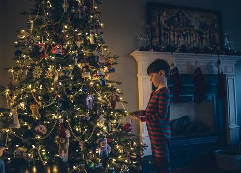 Side view of boy looking at illuminated Christmas Tree Foto stock