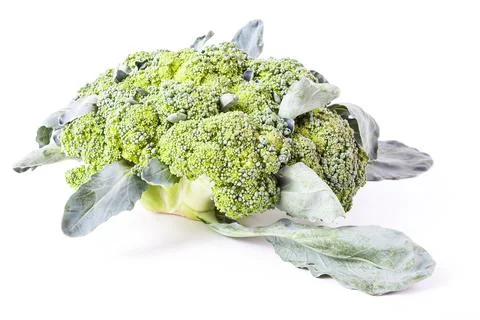 Side view of broccoli cabbage inflorescences of green color with leaves on a  Stock Photos