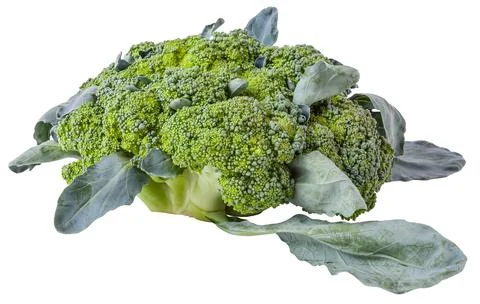 Side view of broccoli cabbage inflorescences of green color with leaves on a  Stock Photos