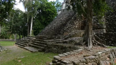 Side view of the Building 6 - Temple of the Lintels, Dzibanche, Quintana Vidéo 237137462