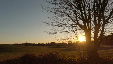 Side View From Car Driving Through Farm Land In Autumn At Sunset In Oregon, USA Видео 120718318