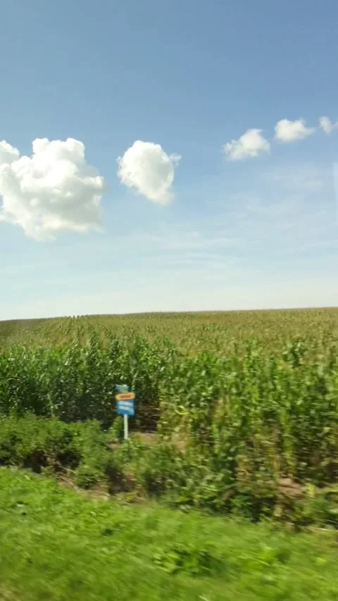 Side view from the car green field blue sky Stock Footage 167950743