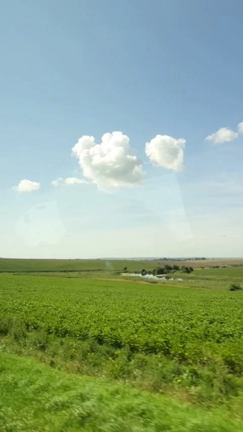 Side view from the car green field blue sky Stock Footage 168080963