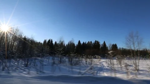 Side view from car mounted camera when vehicle driving winter snowy forest road Stock Footage 73366596