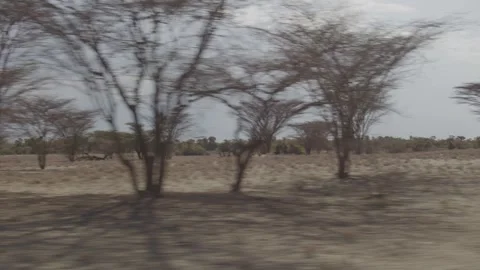 Side View in Car Moving Through Desert in Kenya, East Africa Stock Footage 243686335