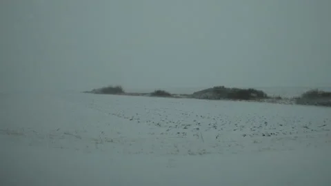 Side view of car ride through countryside landscape during snow blizzard in w Vídeos de archivo 169993619