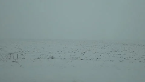Side view of car ride through countryside landscape during snow blizzard in w Vídeos de archivo 169993870