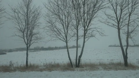 Side view of car ride through countryside landscape during snow blizzard in w Vídeos de archivo 169994285