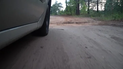 Side view car rides through the forest Stock Footage 118247224