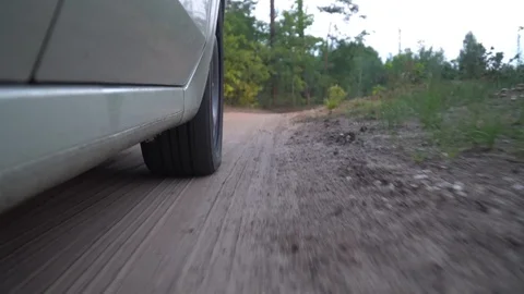 Side view car rides through the forest Stock Footage 118461038