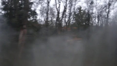 Side View of car window looking out onto cold forest - for window compositing pl Video stock 83792205