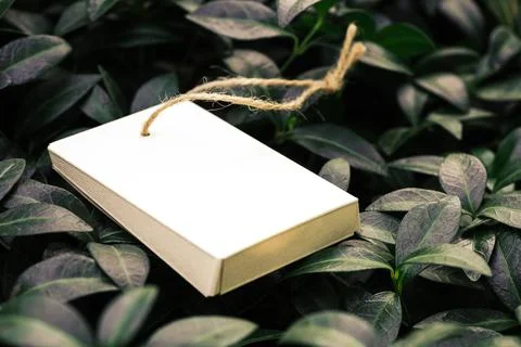 Side view of cardboard folded box with jute rope for accessories on background Stock Photos
