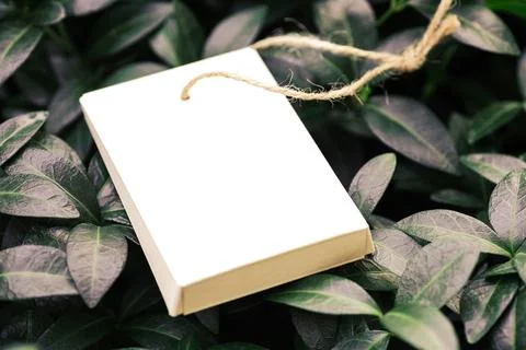 Side view of cardboard folded box with jute rope for accessories on background Stock Photos