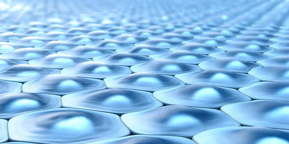 Side view of a cell pattern of hexagonal cells with nuclei - 3d illustration イラスト素材