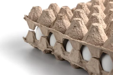Side view on chicken raw eggs in carton recyclable cardboard box. Close-up vi Stock Photos