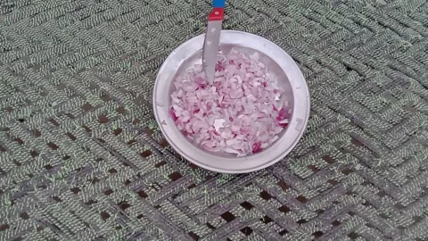 Side View of Chopped Onion Pieces on a Plate Stock Footage 347109425