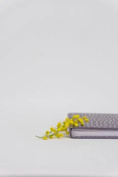 Side view Closeup of a gray notebook closed with white dots and a mimosa acac Stock Photos