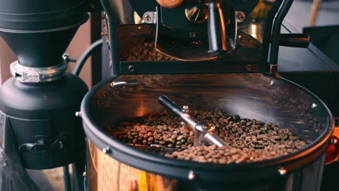Side view of coffee beans cooling in cooling tray after being roasted. Close up Video stock 170966796