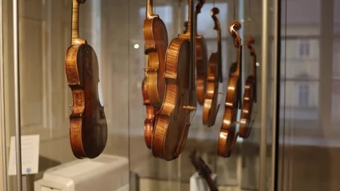 A side view of a collection of antique violins displayed in a museum, emphasizin Stock Footage 293565181