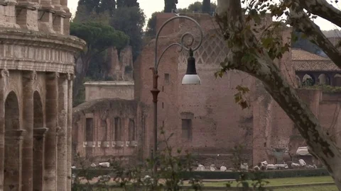 Side view of the Colosseum,  the view in motion Stock Footage 72471120