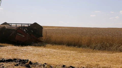 Side view of combine harvester cutting crop. Video stock 102169477